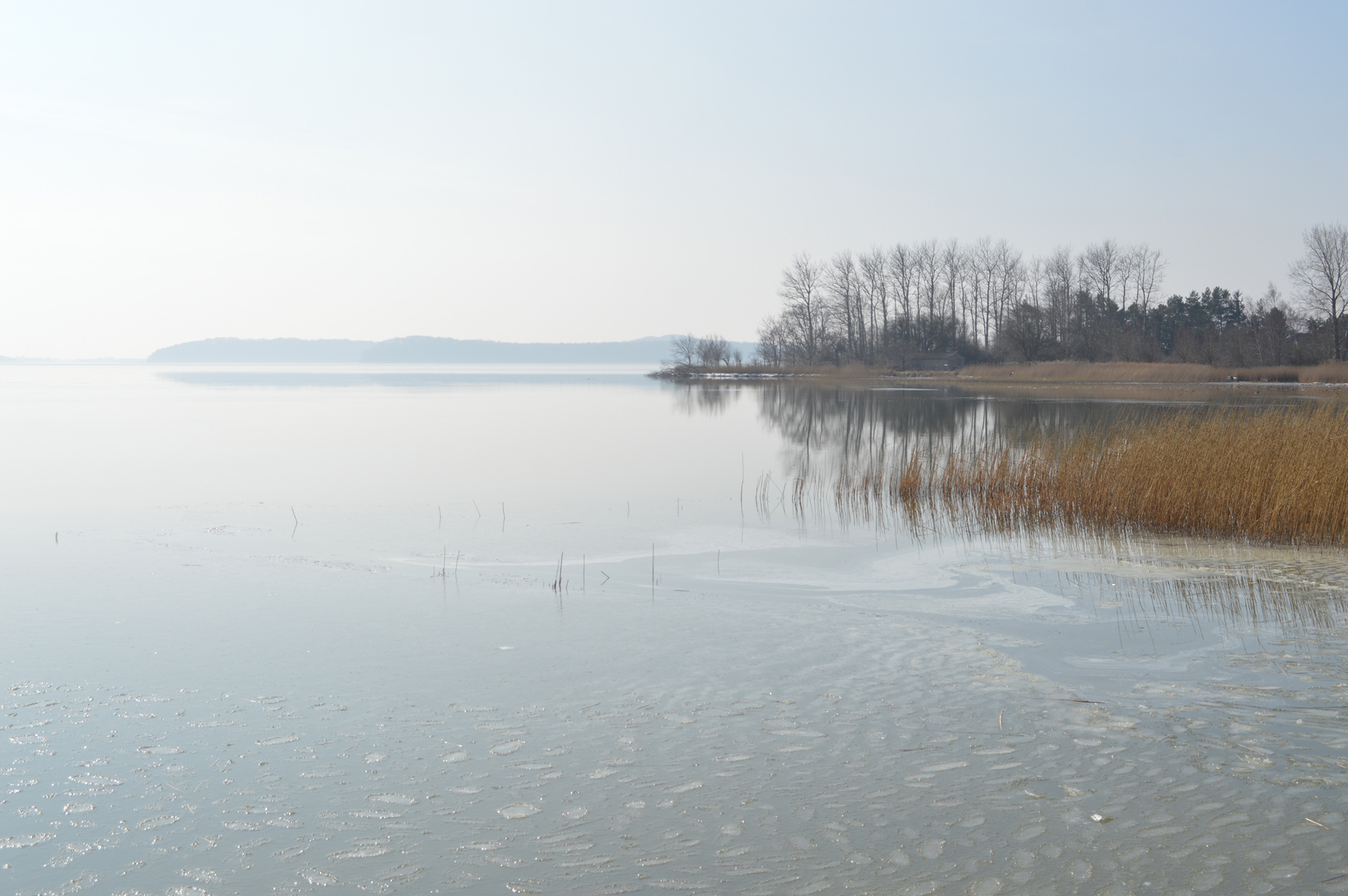 Großer Jasmunder Bodden