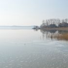 Großer Jasmunder Bodden