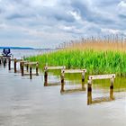 Großer Jasmunder Bodden