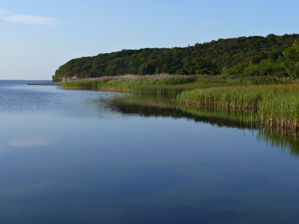 Großer Jasmunder Bodden I