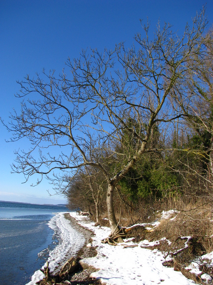 Grosser Jasmunder Bodden I