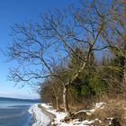 Grosser Jasmunder Bodden I