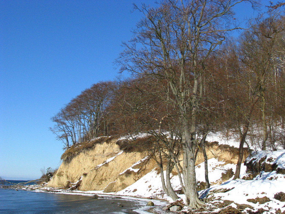 Grosser Jasmunder Bodden II