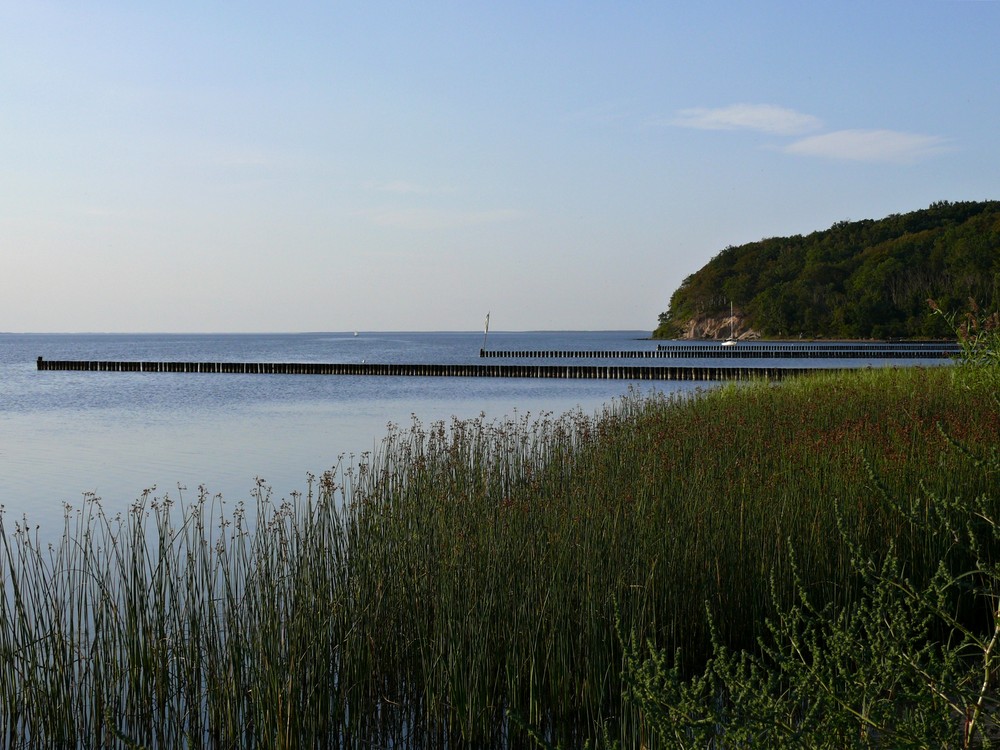 Großer Jasmunder Bodden II