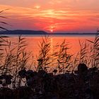 Großer Jasmunder Bodden / Rügen