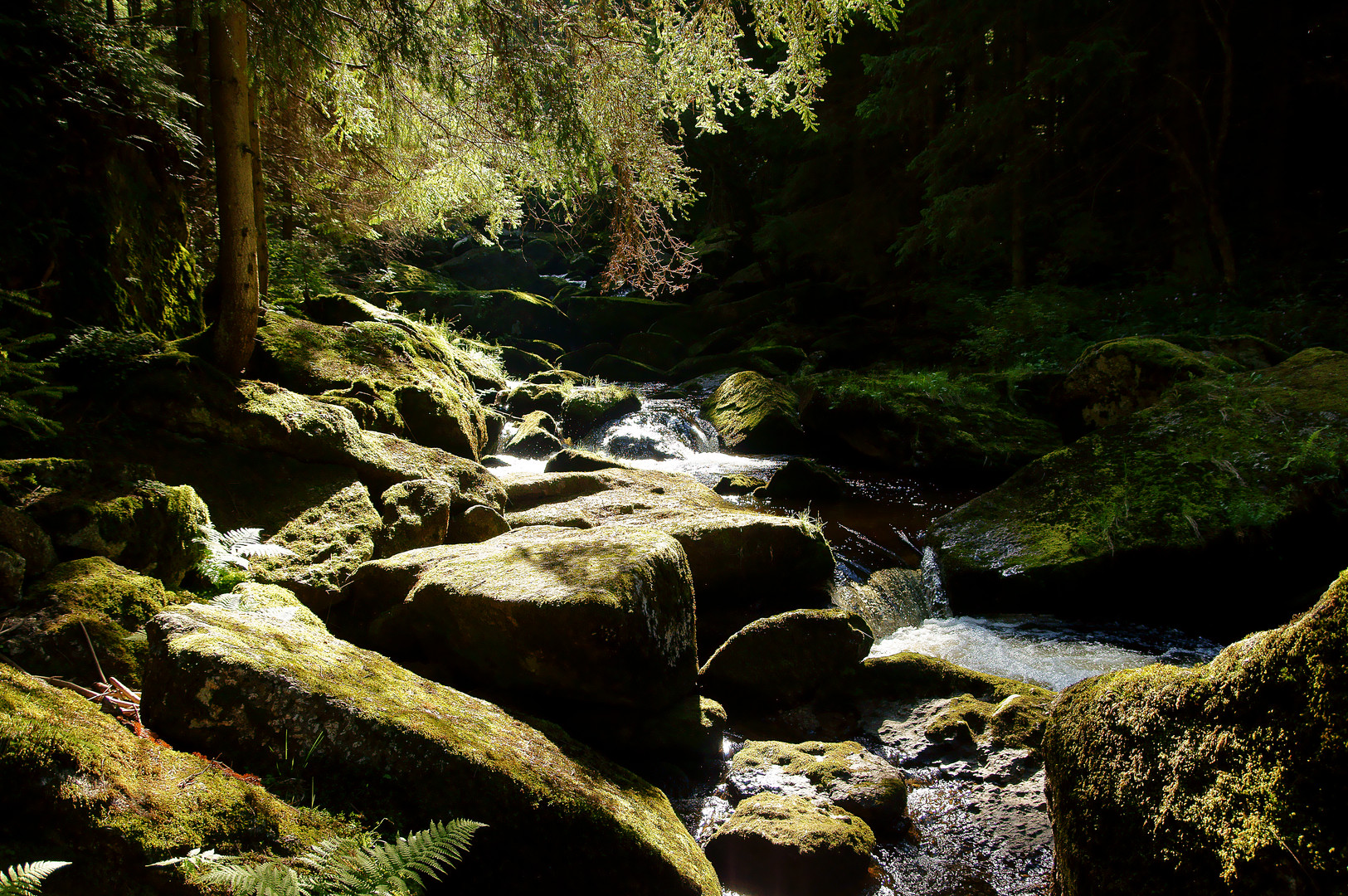 Großer Kamp / Waldviertel