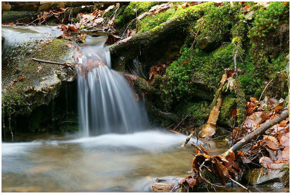 Grosser Kreuzsiepen # 2