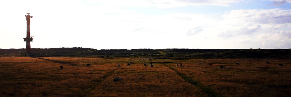 Großer Leuchtturm und kleine Kühe