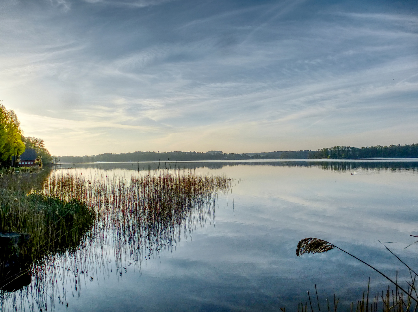 Grosser Lychensee 