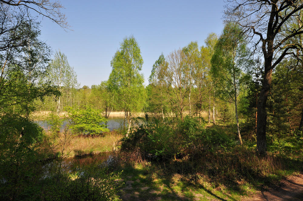 Großer Mittelheidesee......