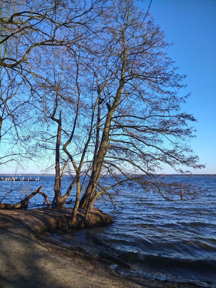 Großer Müggelsee Berlin 1