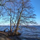 Großer Müggelsee Berlin 1