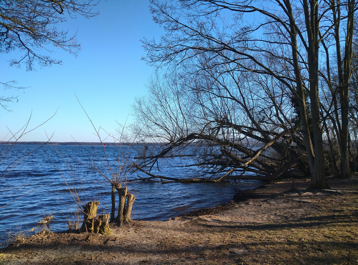 Großer Müggelsee Berlin 3