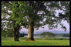 Großer Ostersee