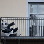 Großer Panda auf Balkon