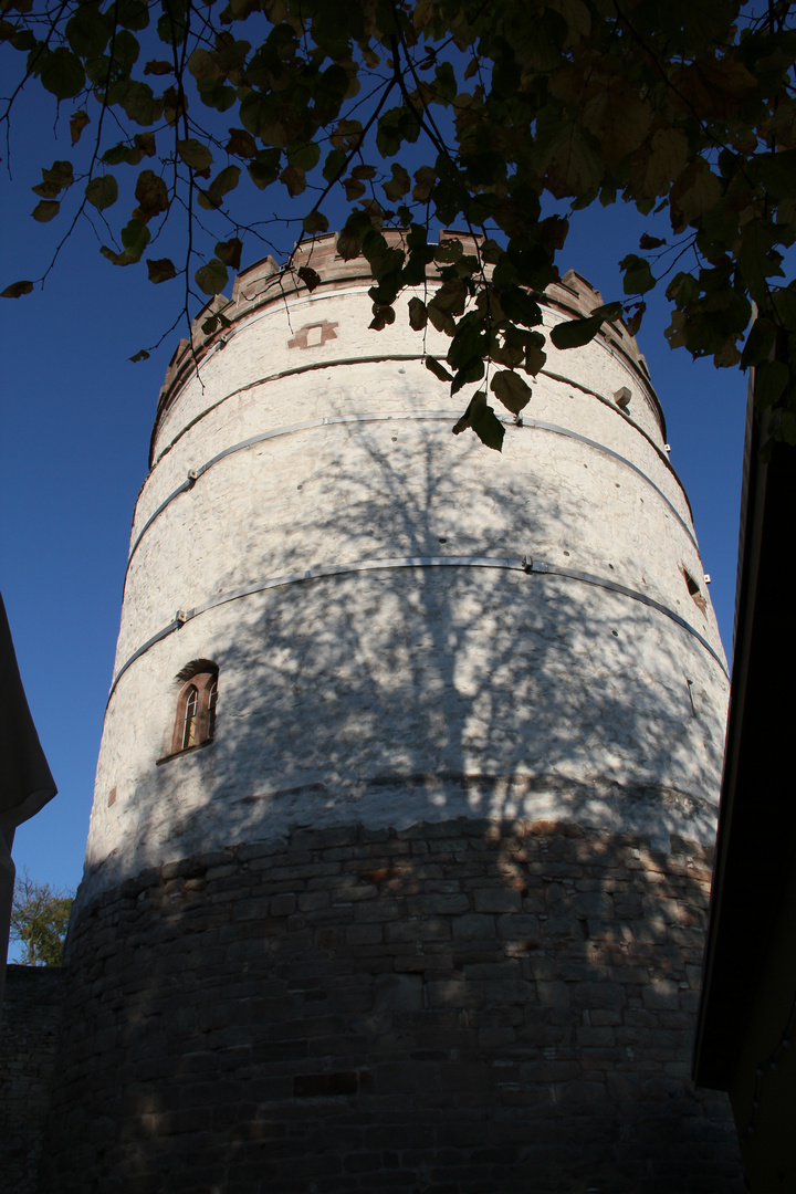 Großer Plesseturm im Herbst