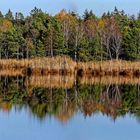 Grosser Riedsee im Herbst