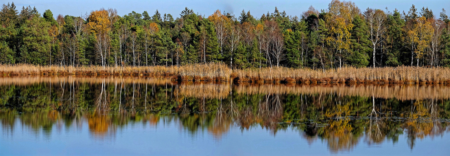 Grosser Riedsee im Herbst