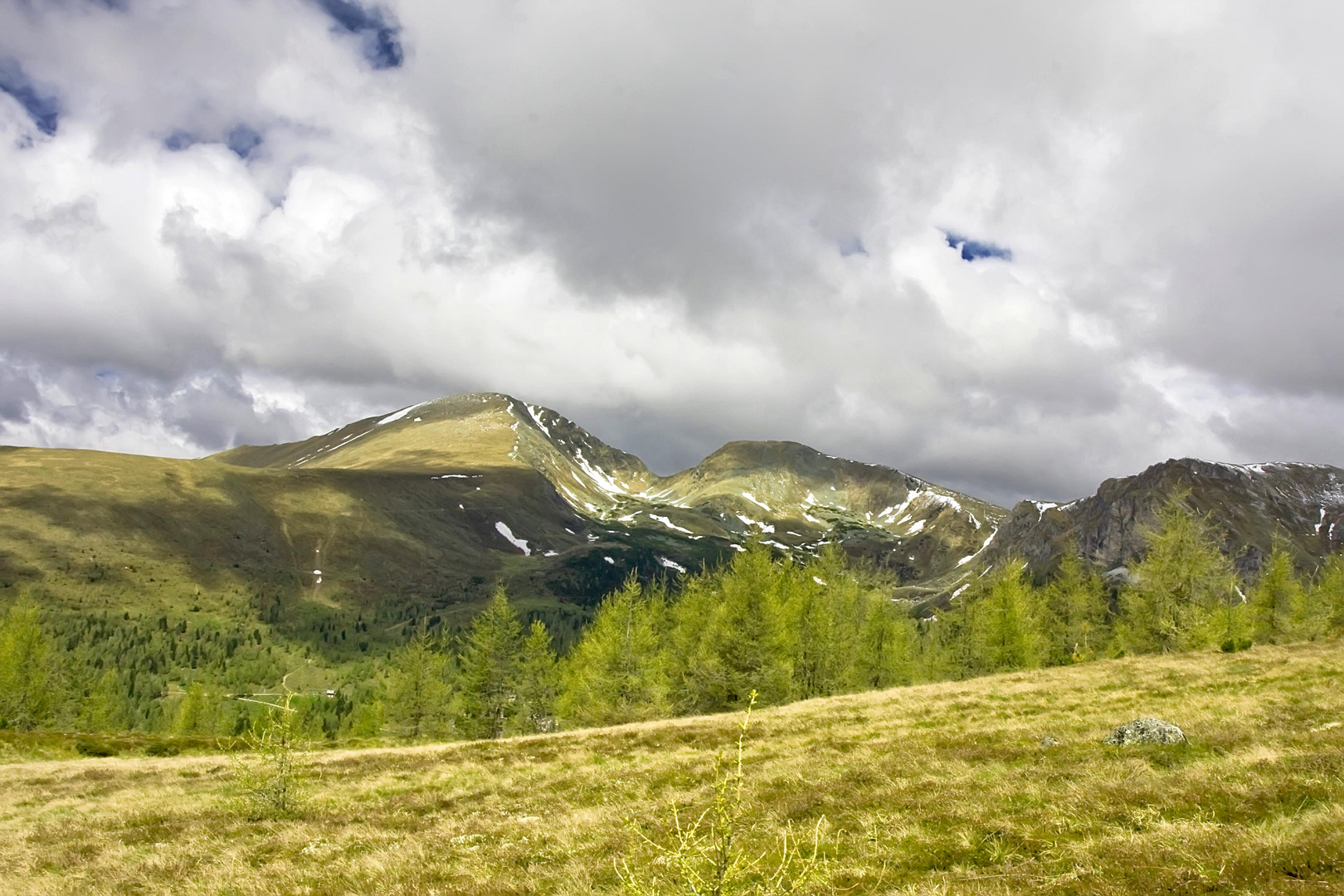 Großer Rosennock