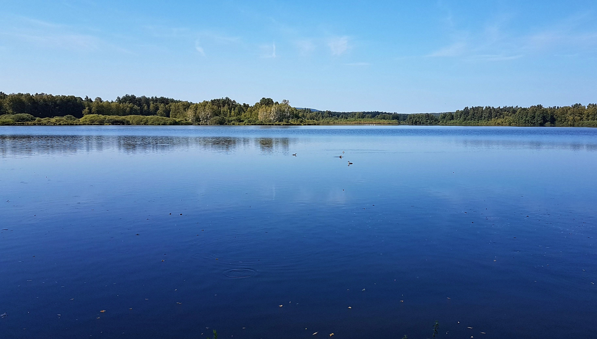 "GROßER RUßWEIHER" in der Oberpfalz