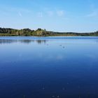 "GROßER RUßWEIHER" in der Oberpfalz