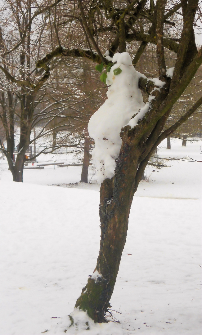 großer schneehase in fluchtposition