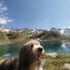 Großer Schwarzsee - Südtirol