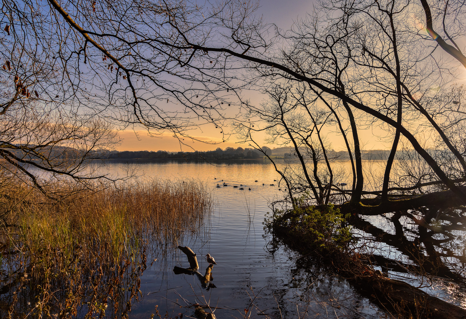 großer Segeberger See