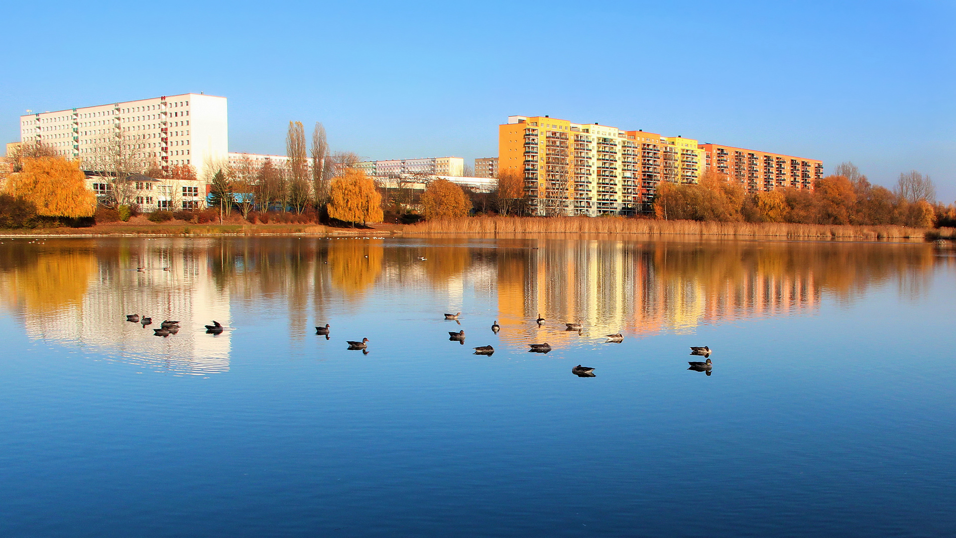 Großer Silbersee