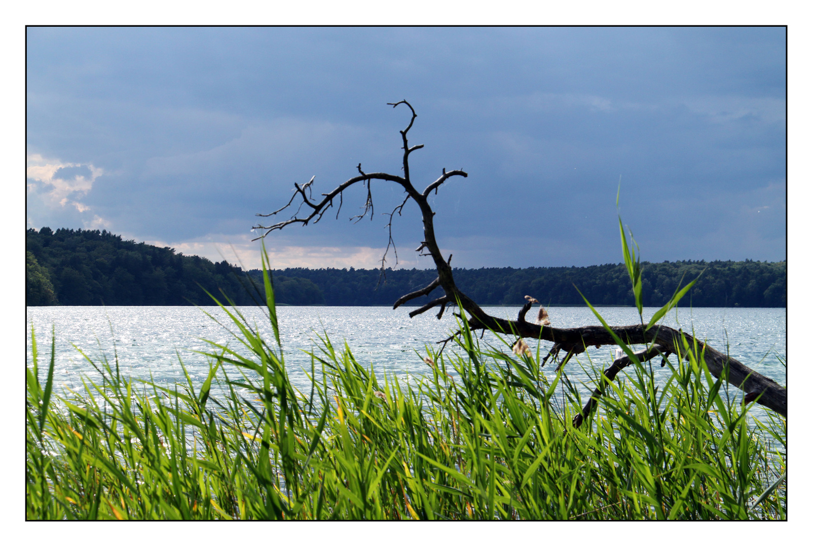 Großer Stechlinsee