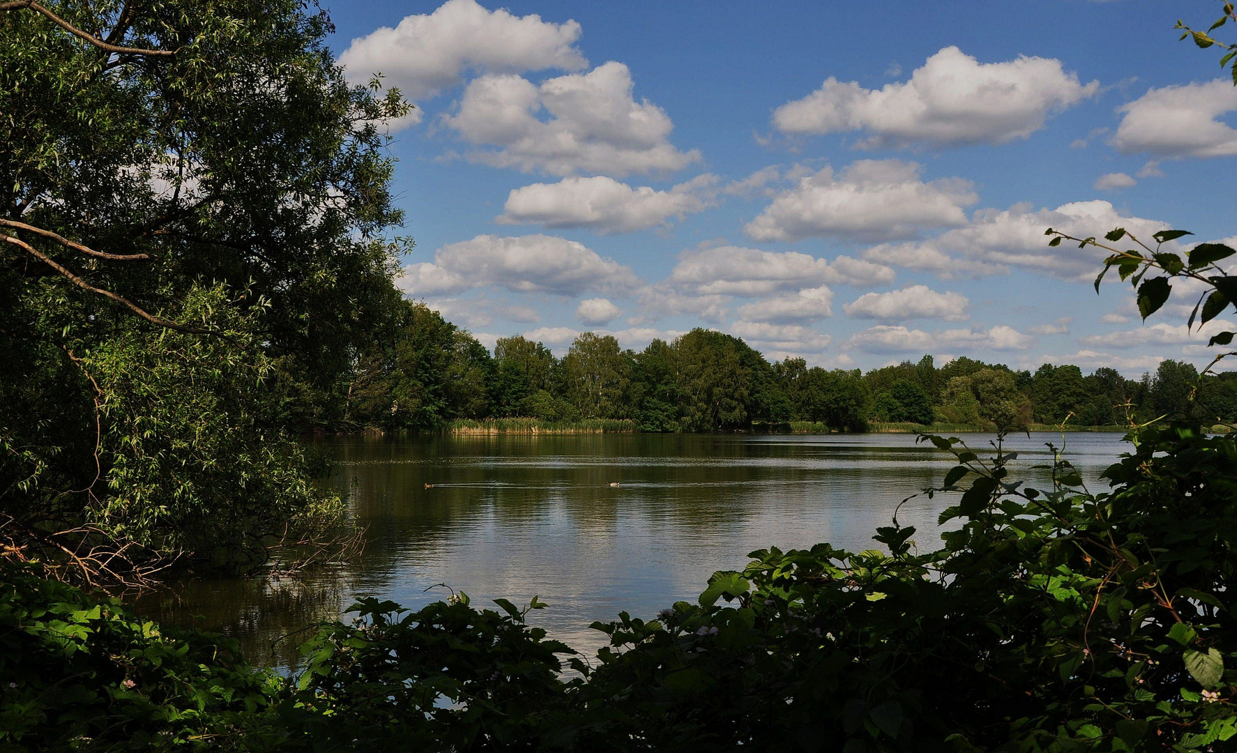 "Großer Teich" 2 Foto & Bild landschaft, bach, fluss & see, see