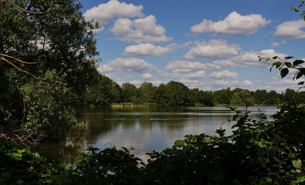 "Großer Teich" 2 Foto & Bild landschaft, bach, fluss & see, see