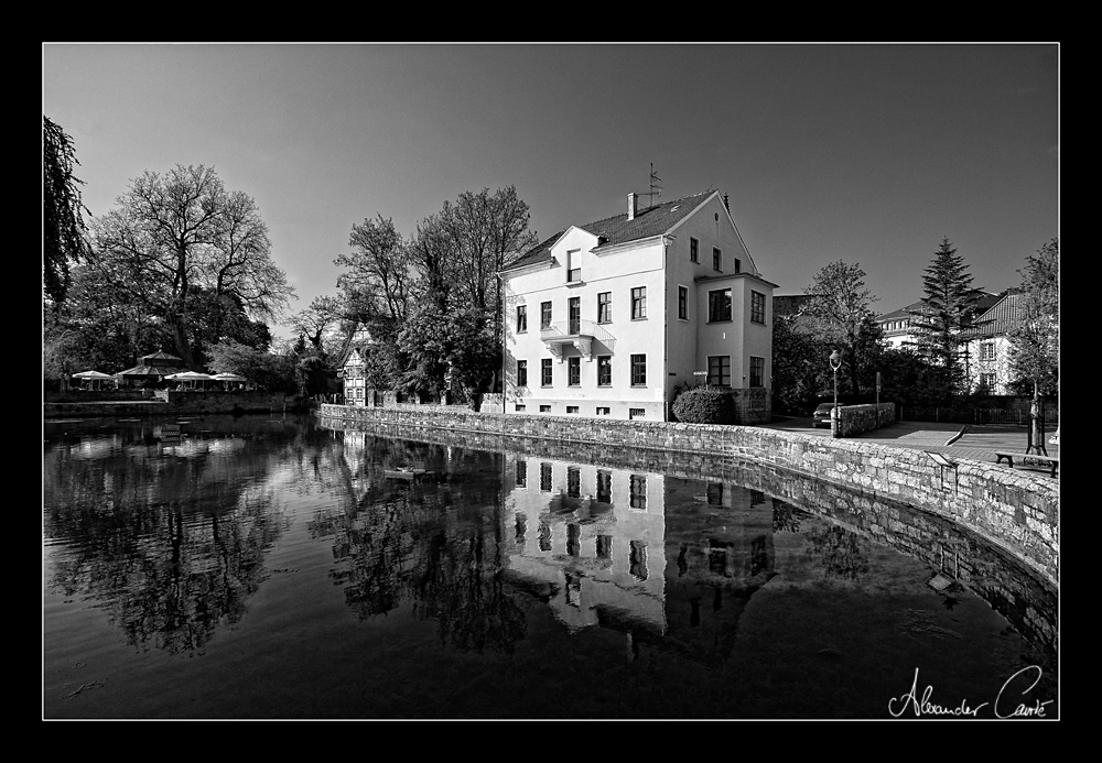 großer teich