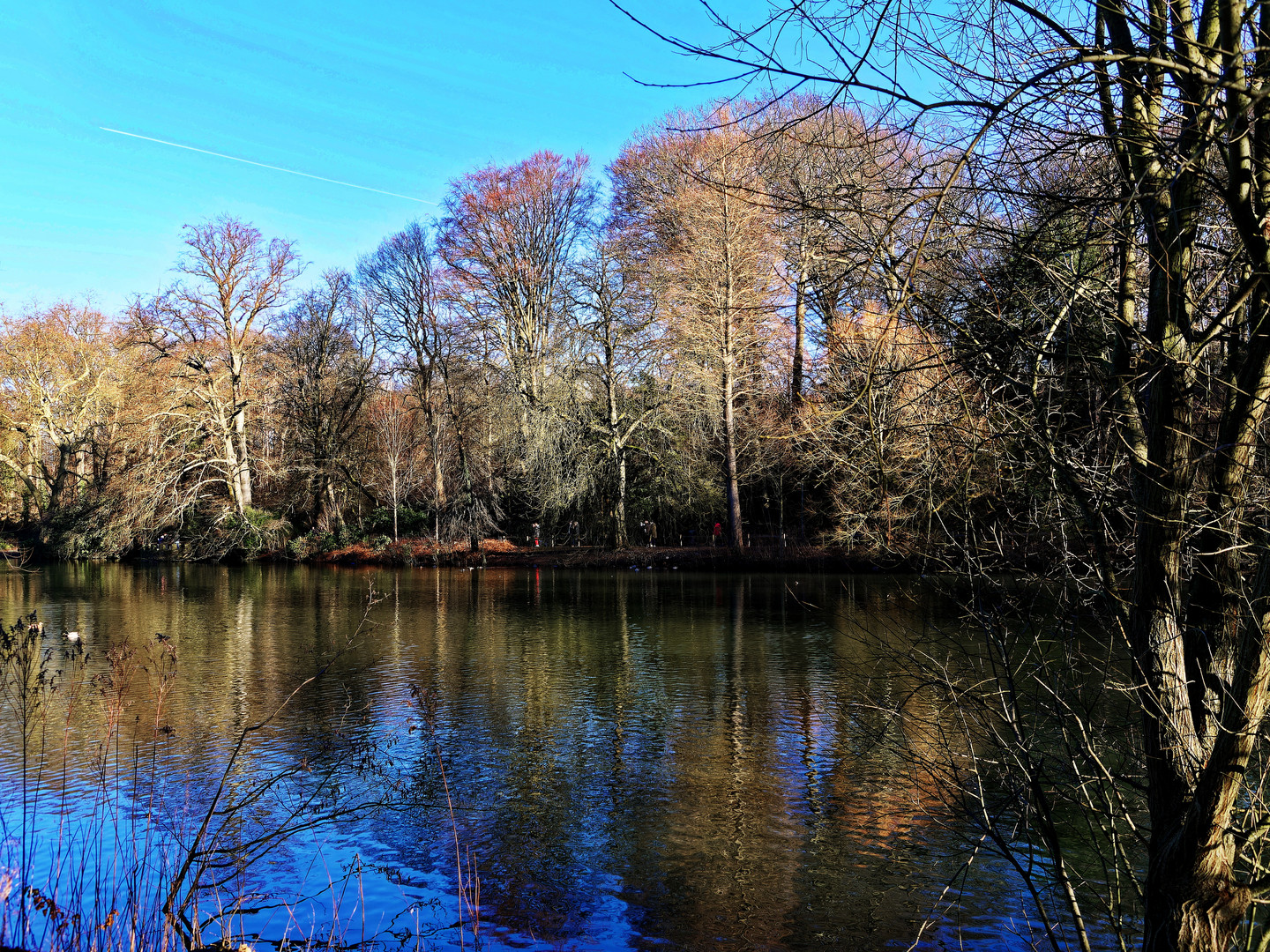 Großer Teich