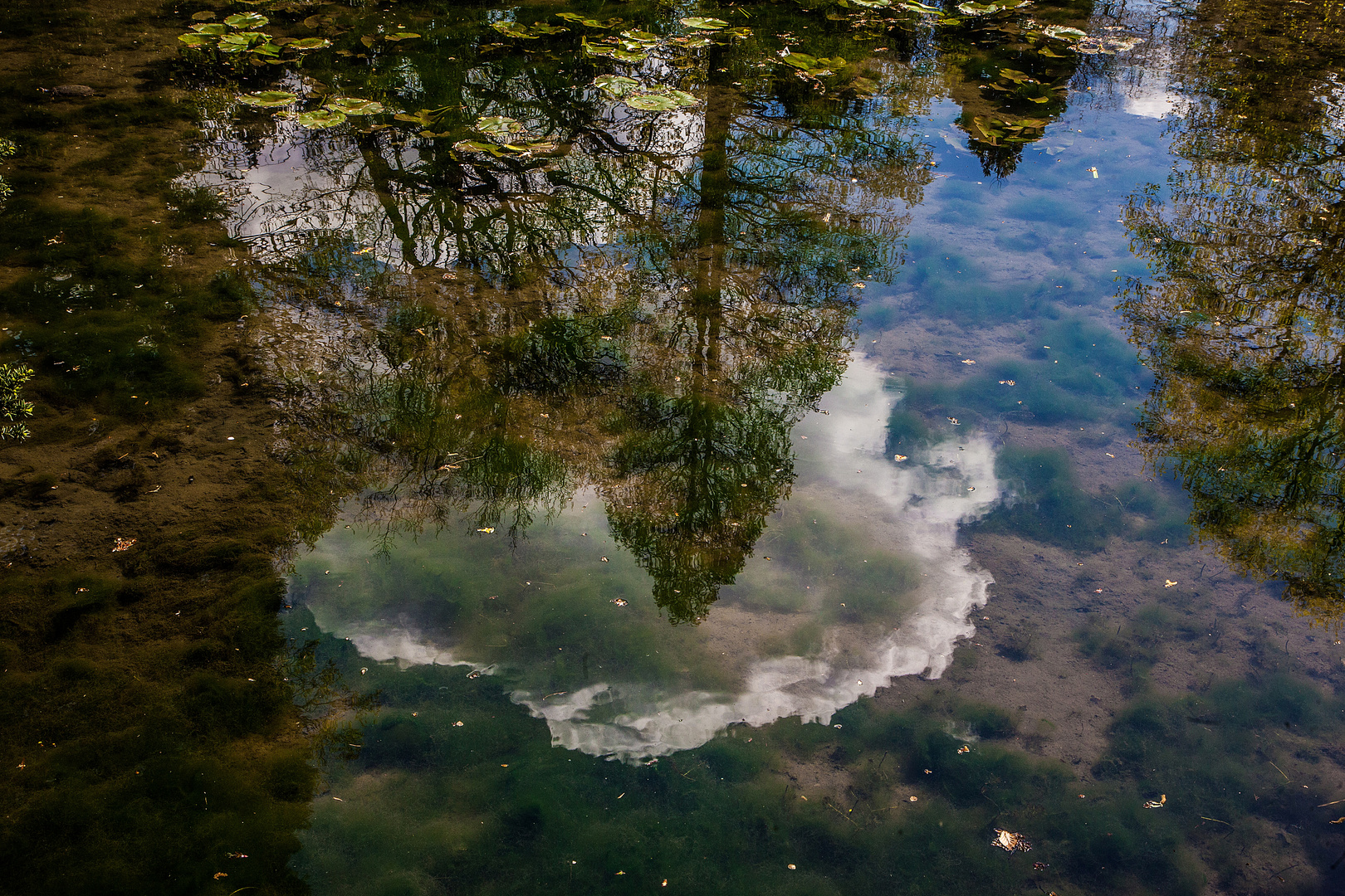 Großer Teich im ..