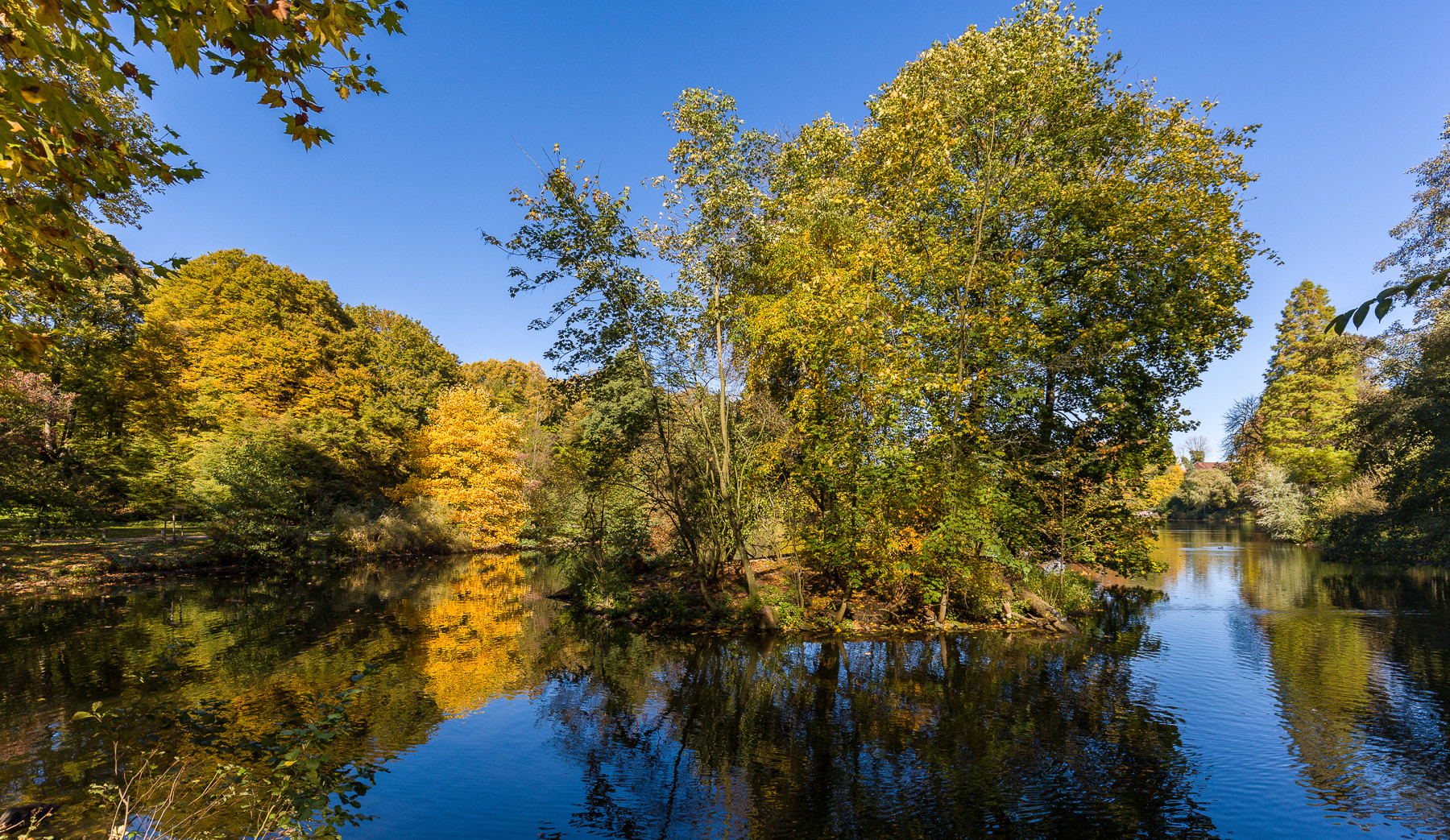 Großer Teich im Rombergpark