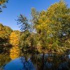 Großer Teich im Rombergpark