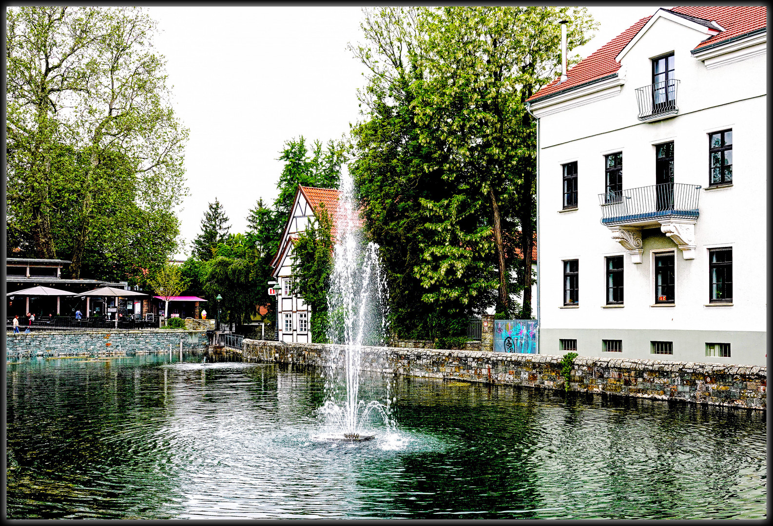 Großer Teich in Soest 2 Foto & Bild wasser, frühling, natur Bilder