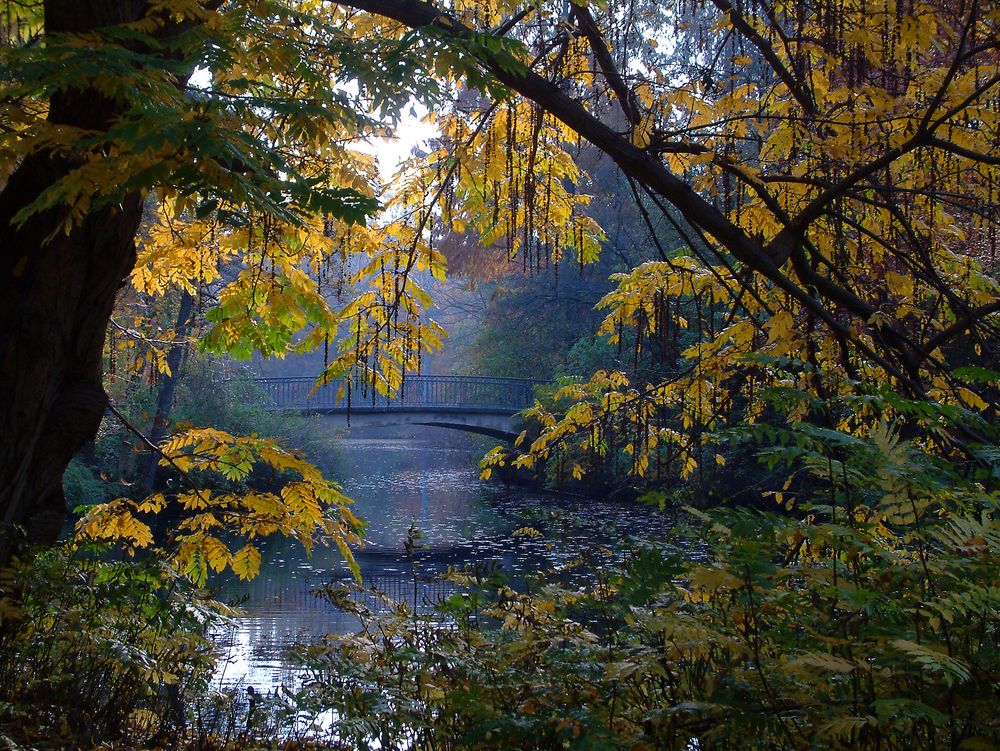 Großer Tiergarten Berlin