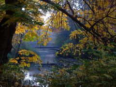 Großer Tiergarten Berlin