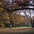 Großer Tiergarten Berlin