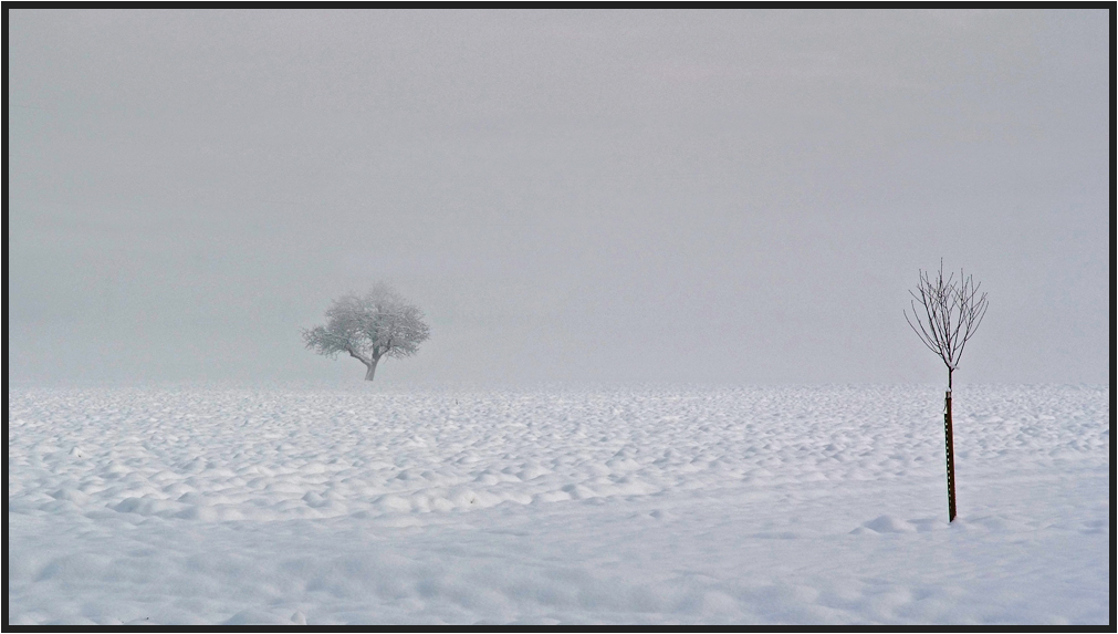 Grosser und kleiner Baum