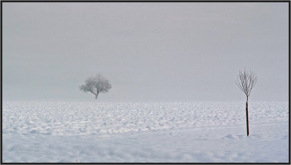 Grosser und kleiner Baum