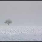 Grosser und kleiner Baum