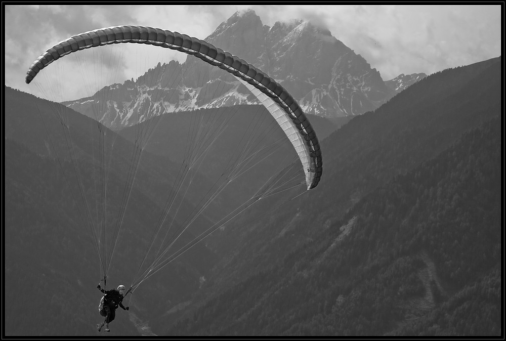 Grosser Vogel vor dem Peitler Kofel