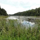 Grosser Weiher bei Boncourt Kt.JU CH