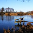 Großer Weiher Wittgenborn (Wächtersbach)