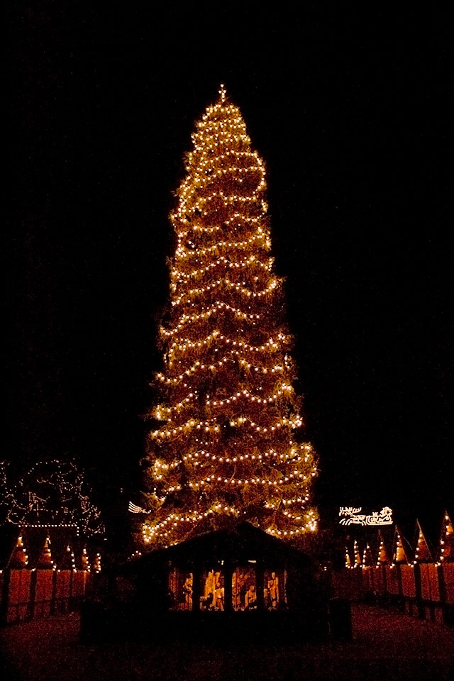 großer Weihnachtsbaum