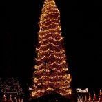 großer Weihnachtsbaum
