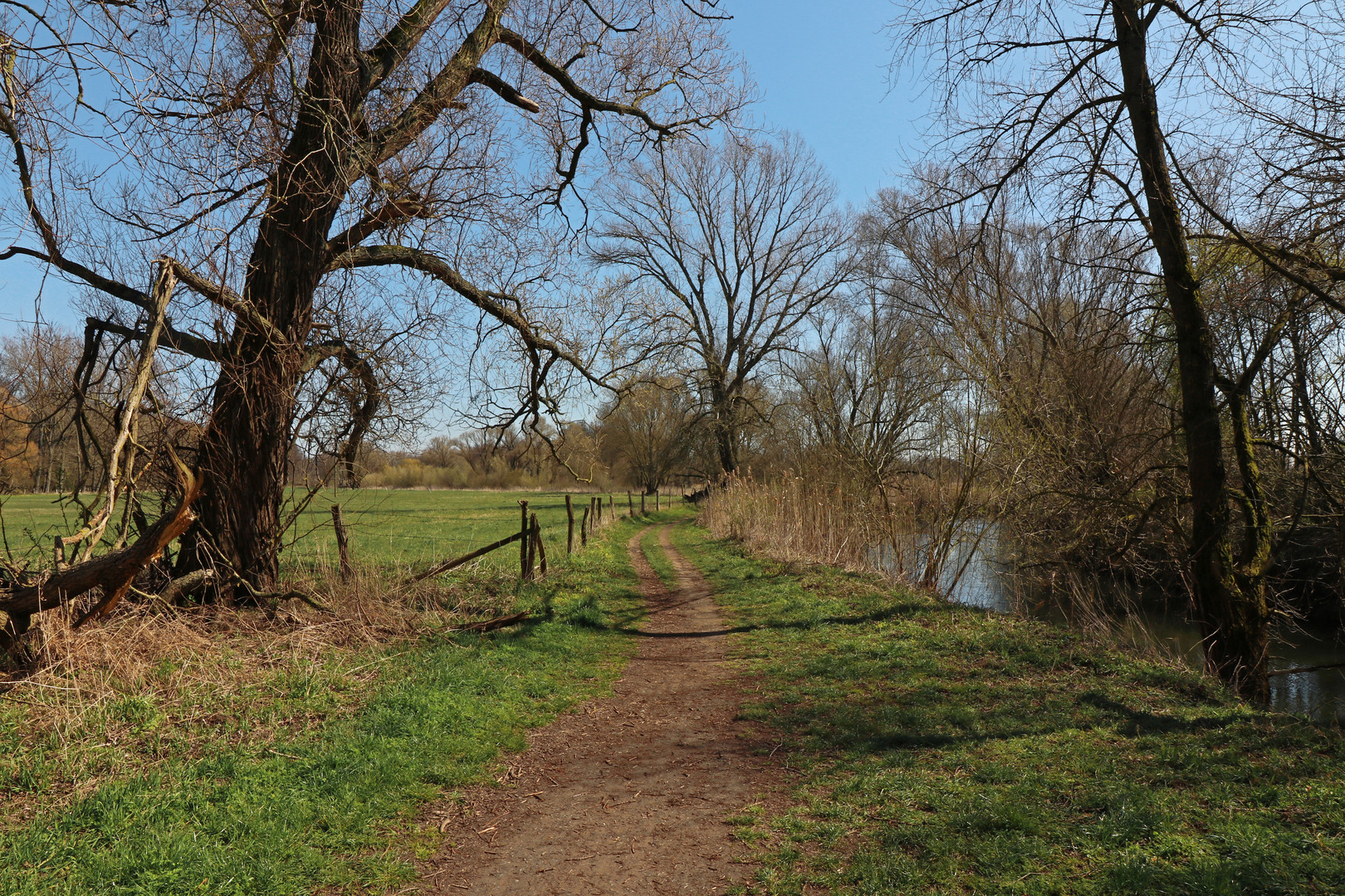 Großer Wiesenweg